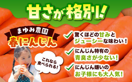 【先行予約】【4月中旬より順次発送】春にんじん10kg にんじん BHCW001