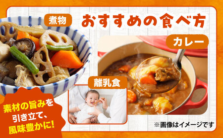 【先行予約】【4月中旬より順次発送】春にんじん10kg にんじん BHCW001