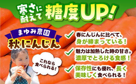 秋にんじん 10kg にんじん BHCW006