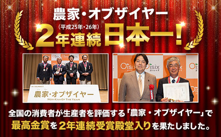 秋にんじん10kg (訳あり) にんじん BHCW007