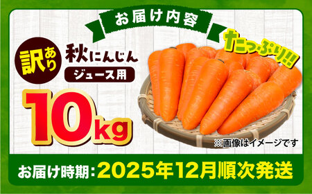 秋にんじん10kg (訳あり) にんじん BHCW007