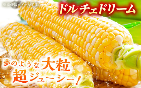 【2026年6月上旬より順次発送】スイートコーン、ドルチェドリームと甘々娘の食べ比べセット【なかむら農園】[BHCJ003]