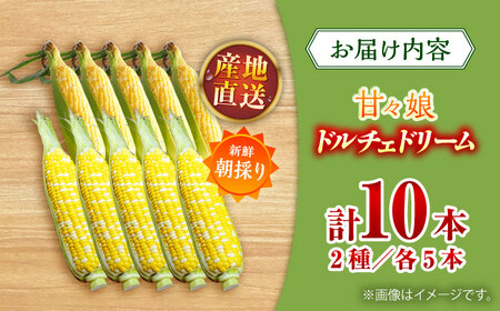 【2026年6月上旬より順次発送】スイートコーン、ドルチェドリームと甘々娘の食べ比べセット【なかむら農園】[BHCJ003]