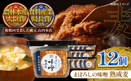 まぼろしの 味噌 熟成麦 500g×12個セット みそ 味噌 BHAE021