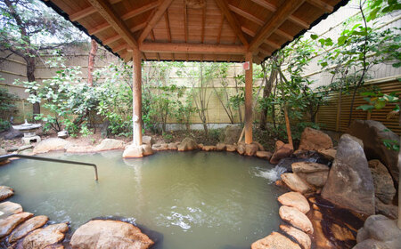 くつろぎセット 大谷の湯 温泉入浴 ＋お食事券 4名様分 温泉 BHCM001