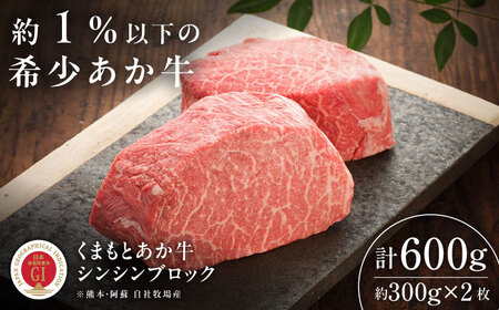 【GI認証】くまもとあか牛シンシンブロック 約300g×2枚 シンシンブロック BHAS015