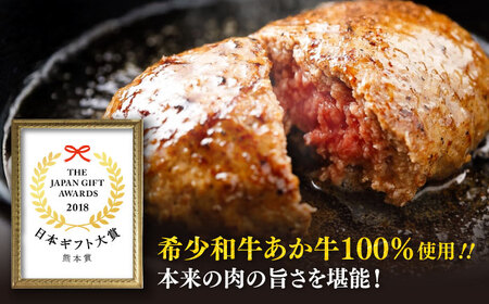 全3回定期便 熊本和牛 あか牛 ハンバーグ セット 約120g×6個 あか牛 ハンバーグ BHAS033