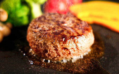 全6回定期便 熊本和牛 あか牛 ハンバーグ セット 約120g×6個 あか牛 ハンバーグ BHAS034