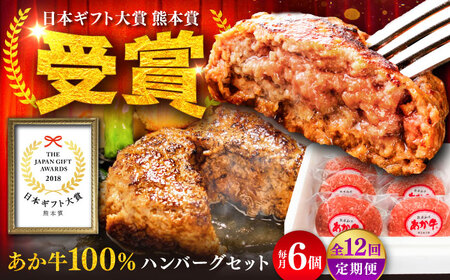 全12回定期便 熊本和牛 あか牛 ハンバーグ セット 約120g×6個 あか牛 ハンバーグ BHAS035
