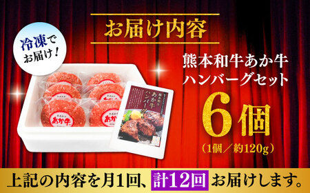 全12回定期便 熊本和牛 あか牛 ハンバーグ セット 約120g×6個 あか牛 ハンバーグ BHAS035