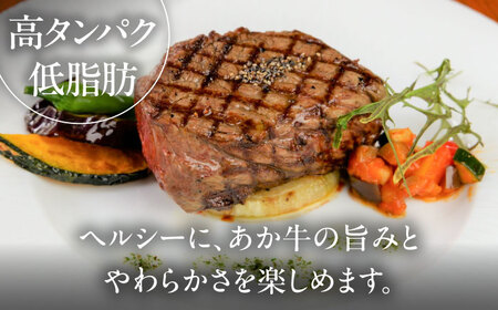 全6回定期便 GI認証 くまもとあか牛シャトーブリアン 約120g×3枚 BHAS073 シャトーブリアン