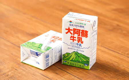 【全12回定期便】大阿蘇 牛乳 250ml24本入り 牛乳 BHBY024