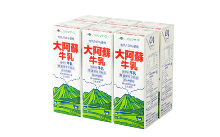 【全6回定期便】大阿蘇 牛乳 1000ml 紙パック 6本入 牛乳 BHBY025