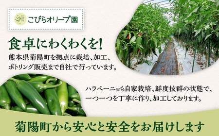 ハラペーニョ 醤油漬けとピクルスのセット ハラペーニョ BHBL014