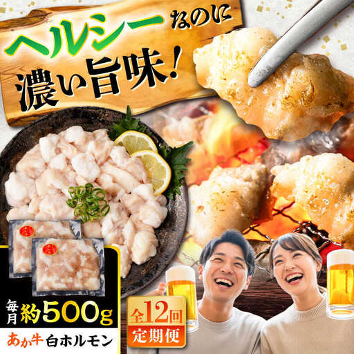 全12回定期便 あか牛 白 ホルモン 約500g ホルモン BHCY012