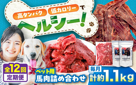 【全12回定期便】詰め合わせ 国内加工 ペット用 馬肉 切り落とし 約1kg ペット用 馬刺しジャーキー 約100g BHCY068