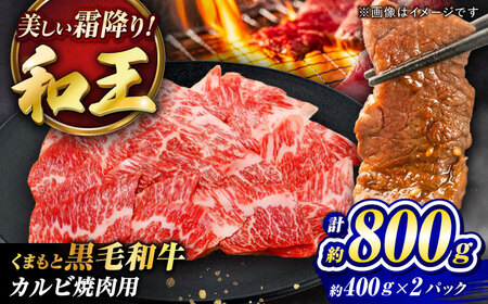 くまもと黒毛和牛 和王 カルビ 焼肉用 計約800g BHBQ011 カルビ