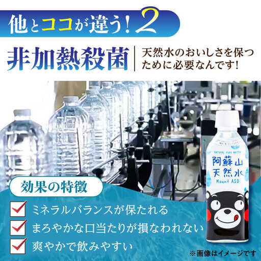 【全12回定期便】阿蘇山天然水 330ml 計48本(24本×2ケース) ミネラル BHDG022 ミネラル