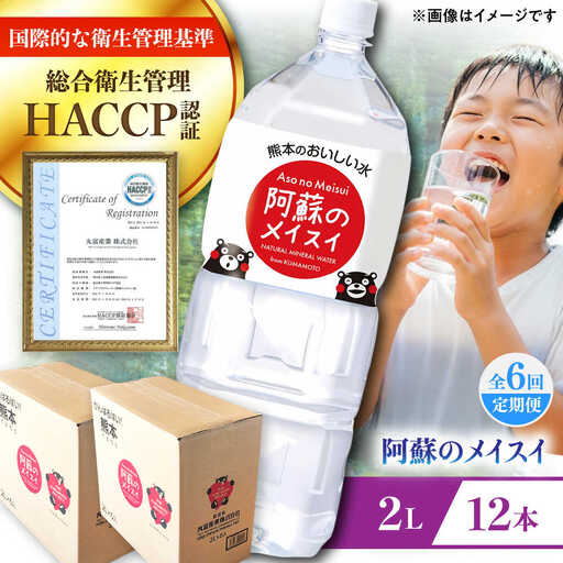 【全6回定期便】 阿蘇のメイスイ 2L 計12本(6本×2ケース) 天然水 BHDG029 天然水