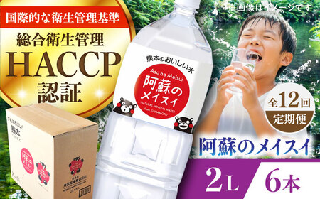 【全12回定期便】阿蘇のメイスイ 2L 6本×1ケース ミネラルウォーター BHDG026 ウォーター
