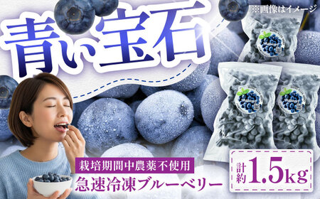 ブルーベリー 青い宝石国産急速冷凍 ブルーベリー 計約1.5kg BHCX006