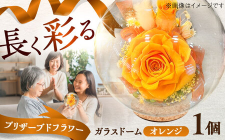 プリザーブドフラワー　ガラスドーム (オレンジ) 母の日 BHDC001 母の日