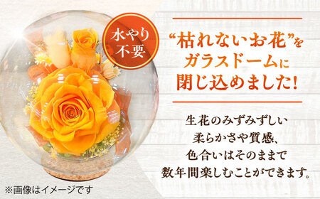 プリザーブドフラワー　ガラスドーム (オレンジ) 母の日 BHDC001 母の日