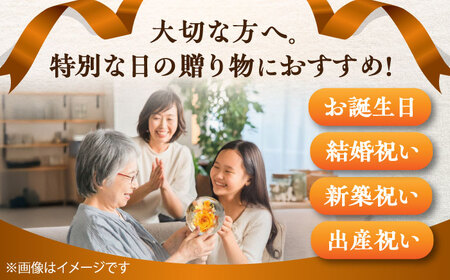 プリザーブドフラワー　ガラスドーム (オレンジ) 母の日 BHDC001 母の日