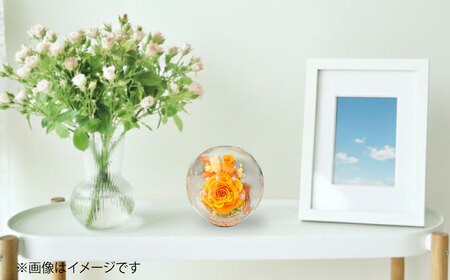 プリザーブドフラワー　ガラスドーム (オレンジ) 母の日 BHDC001 母の日