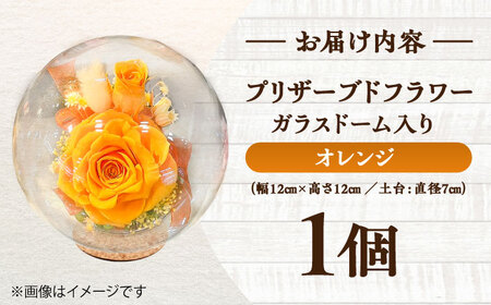 プリザーブドフラワー　ガラスドーム (オレンジ) 母の日 BHDC001 母の日
