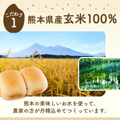 【全6回定期便】 玄米 パン （グルテンフリー） プレーン 20個 セット [BHAF006]