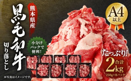 熊本県産 黒毛和牛 A4以上 切り落とし 2kg 牛肉 国産