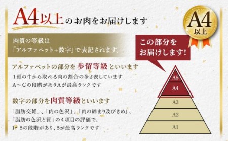 熊本県産 黒毛和牛 A4以上 切り落とし 2kg 牛肉 国産