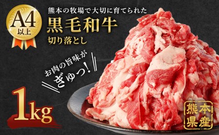 熊本県産 黒毛和牛 A4 以上 切り落とし 1kg 肉 牛肉 国産
