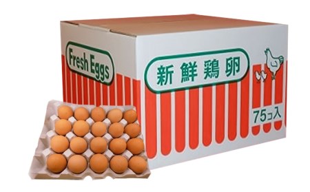 菊陽町の新鮮たまごセット ／ 生卵 タマゴ 新鮮 朝採れ 熊本県 特産品