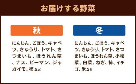 【6ヶ月定期便】菊陽町特産品 「野菜・果物などの詰め合わせ」 