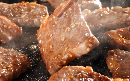 肥後の赤牛 焼肉用 約500g 牛肉 赤牛 焼き肉 やきにく 冷凍
