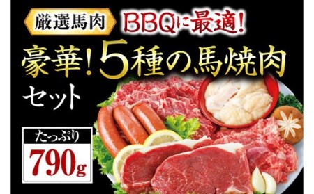 【国産】馬肉専門店だからできる 豪華馬焼肉セット