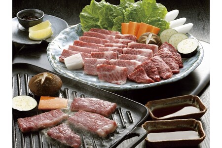 【6ヶ月定期便】熊本県産 くまもと黒毛和牛 焼肉用 500g