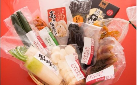 阿蘇の浅漬け・古漬け・加工品セット(10点)