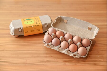 【南小国町産】平飼い養鶏で育った「おぐにん卵」 32個（30個+割れ補償2個）