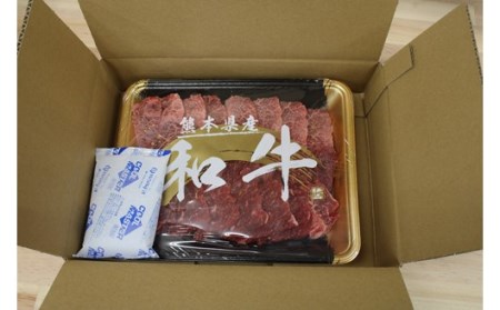 〈令和6年5月出荷〉熊本県産ＧＩ認証取得　くまもとあか牛（焼肉用５００ｇ）