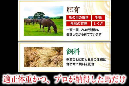 〈令和6年12月出荷〉肥後の桜馬刺し 上赤身 200g 馬肉 馬 国産 国内肥育 希少 肉刺し 真空パック 専用醤油付き 本場 老舗専門店 ギフト 贈答用 熊本 阿蘇 南小国町 送料無料 高レビュー 《 出荷月指定 》