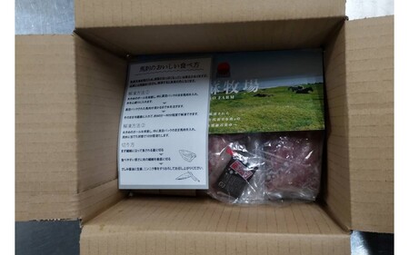 〈令和6年12月出荷〉肥後の桜馬刺し 上赤身 200g 馬肉 馬 国産 国内肥育 希少 肉刺し 真空パック 専用醤油付き 本場 老舗専門店 ギフト 贈答用 熊本 阿蘇 南小国町 送料無料 高レビュー 《 出荷月指定 》