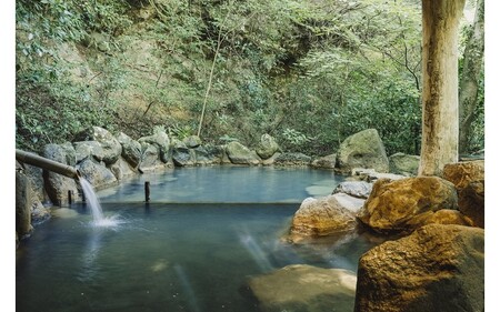 【田の原温泉】流憩園 羊プラン ペア宿泊券 九州 熊本 阿蘇 一泊二食付き 温泉宿 温泉 露天風呂 天然温泉 旅館 旅行 トラベル チケット ペア 宿泊券 旅行券 食事付き 観光 ギフト 贈答用 田の原温泉 南小国町観光協会 南小国町