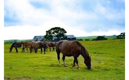 【厳選】馬刺し3種（赤身・フタエゴ・サガリ） 450g 馬刺し 馬肉 馬 肉刺し 専用醤油 150ml 人気部位 赤身 フタエゴ サガリ高級 桜屋 熊本 阿蘇 南小国町 送料無料