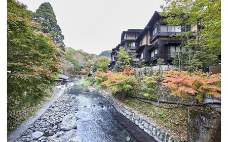 【黒川温泉で利用可能】 黒川温泉ふるさと宿泊補助券 50,000円分（10,000円券×5枚）宿泊補助券 南小国町 黒川温泉 旅行券 宿泊券 チケット 商品券 ギフト 贈答用 温泉 温泉地 食事 日帰り 日帰り旅 熊本旅行 九州旅行 黒川温泉観光旅館協同組合 熊本 阿蘇 送料無料