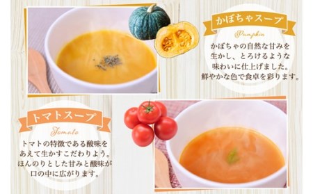 素材を活かした野菜スープ5種（180g×10食） スープ 野菜スープ 5種 180g 10食 無添加 レトルト 詰合せ オニオンスープ 玉ねぎ トマト 人参 にんじん キャベツ かぼちゃ 簡単調理 湯せん レンジ 温めるだけ キングフーズ 熊本 阿蘇 南小国町 送料無料