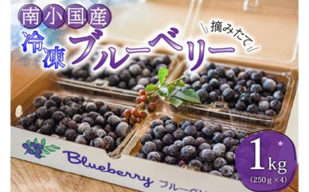 冷凍ブルーベリー 6.5kg 無農薬無選別+spbgp44.ru