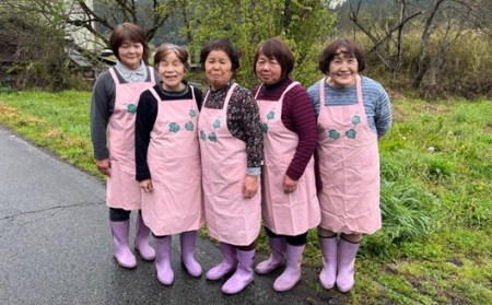 葵会こだわりの『手作り合わせ味噌』 手づくり 合わせみそ 800g 2個 セット 味噌 みそ 合わせ味噌 米麹 米糀 麦麹 調味料 手作り お取り寄せ 熊本 阿蘇 南小国町 送料無料